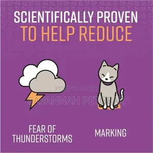 Good Behavior Calming Collar for Cats