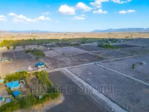 Your Next Home, Malaa.