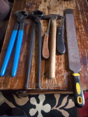 Horses Riding Equipment