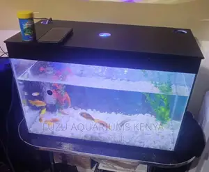 Desktop Aquarium With Fish