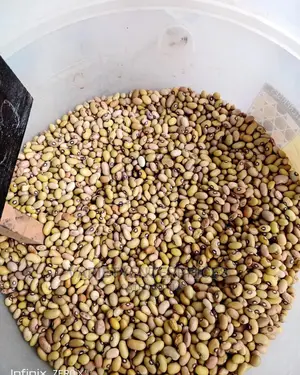 Yellow Beans
