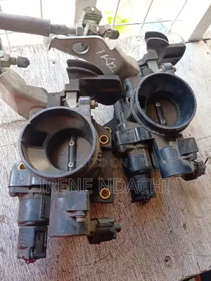 Throttle Body Passo