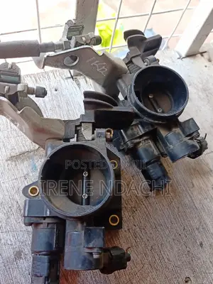 Throttle Body Passo