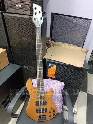 5 String Active Bass Guitar