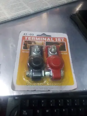 Universal Fit Battery Terminals