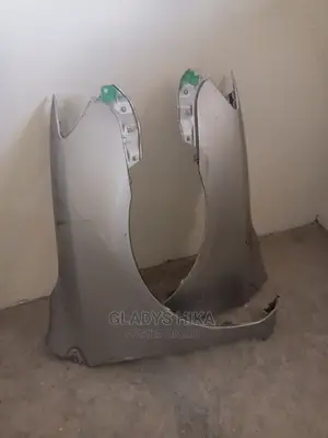 Ex Japan Wings/Fenders for Axio 2008