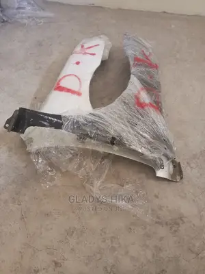 Ex Japan Wing/Fenders for Allion 260 on Sale