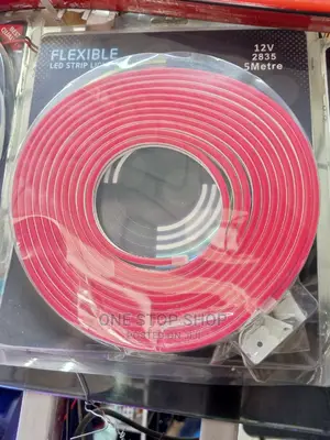 12/24v Red 5m Neon Led Lights