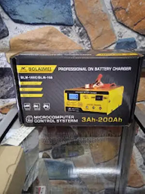 BLM-168 12v/24v Smart Automatic Battery Charger