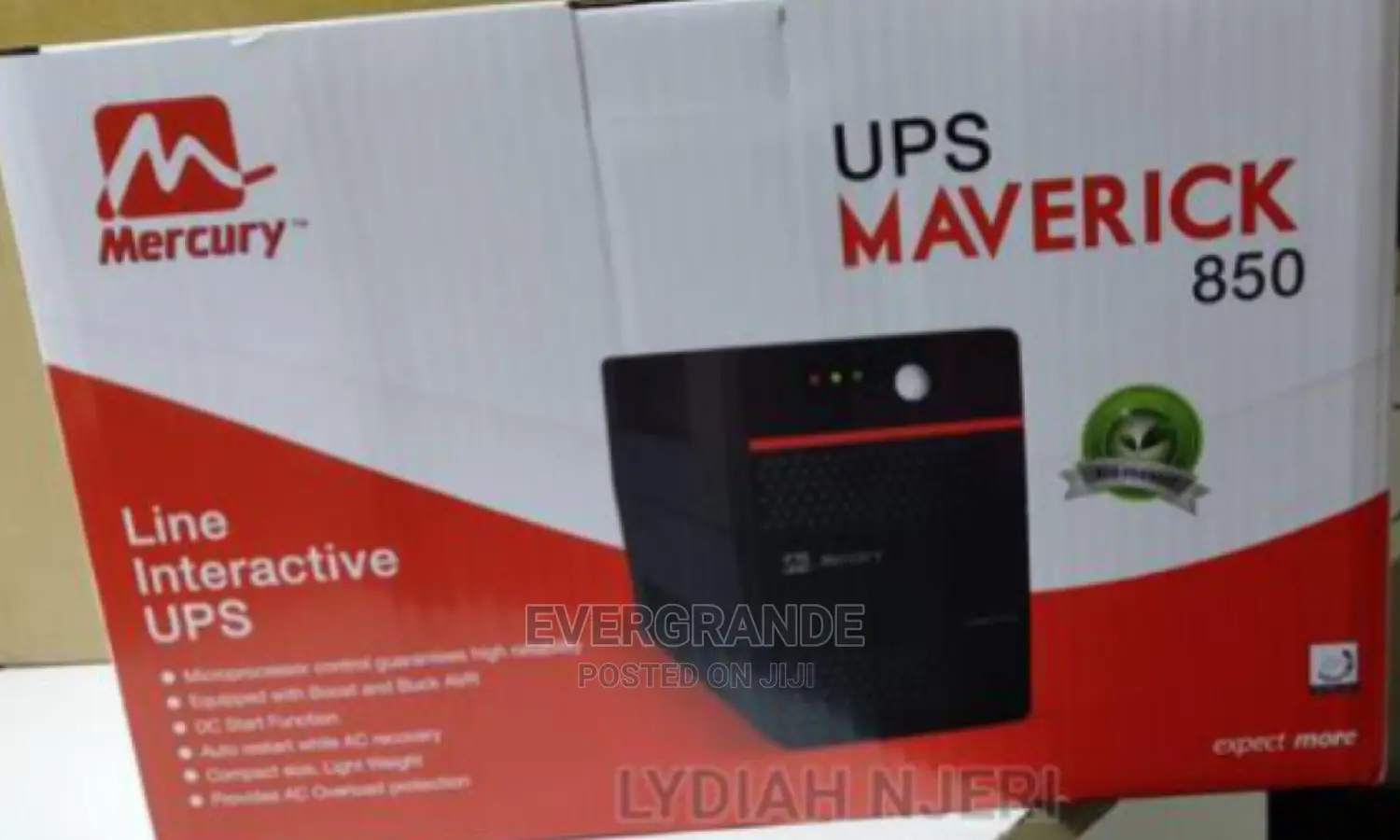 Mercury 850 VA /510 Watts Ups
