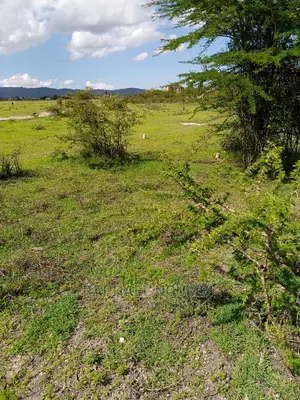 14 Acres at Kithyoko