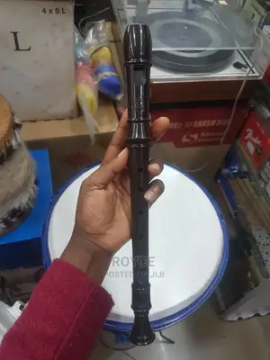 Suzuki Musical Recorder