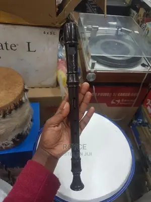 Suzuki Musical Recorder
