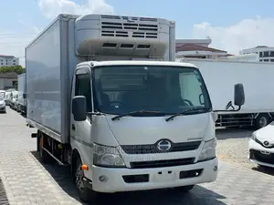 Hino Dutro 2014 White
