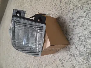 Fog Lamp Lights Shark