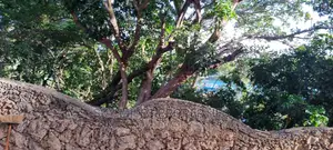 Beach View Studio Apartment Available for Holiday Booking.