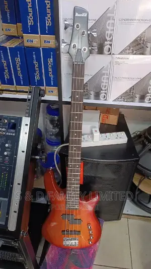 4 String Bass Guitar