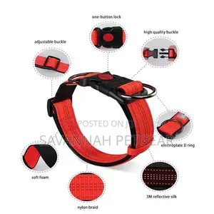Golden Panda Safety Lock Adjustable Dog Collar