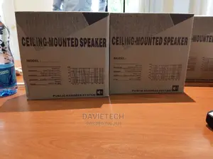 Ceiling Mounted Speakers