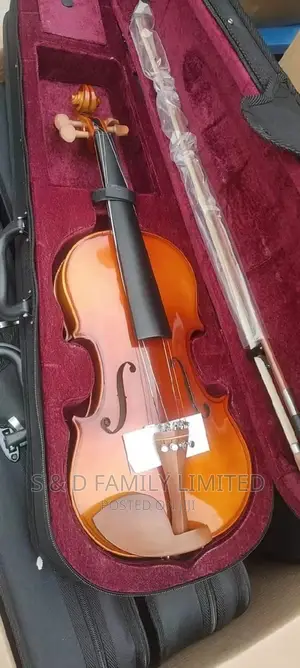 4/4 Violin