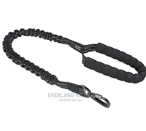 Extendable Dog Leash