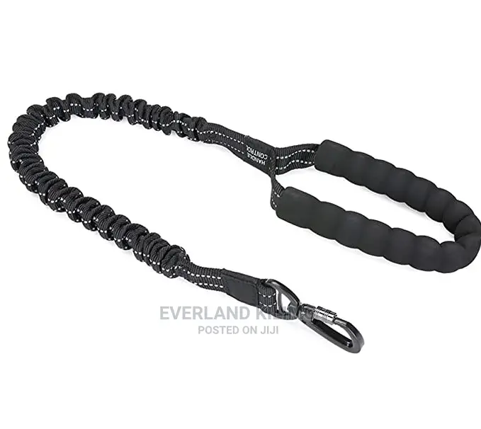 Extendable Dog Leash