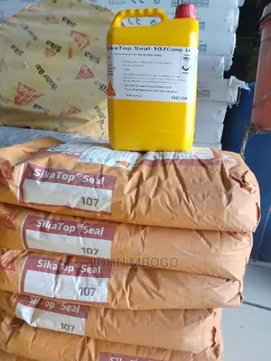 Sikatop Seal 107//