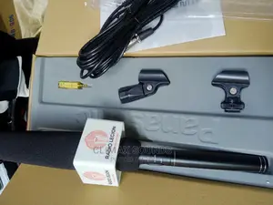 Panasonic Condenser Microphone
