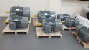 Electric Motor