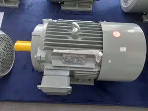 Electric Motor