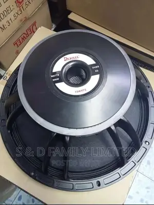 Derwel 15 Inch Naked Speaker Ah75