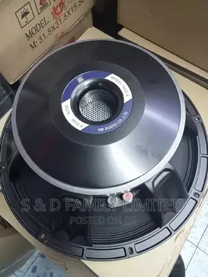 BM 15 Inch Naked Speaker AZ-A