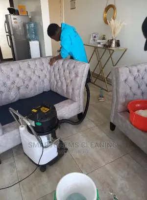 Sofa Sets Cleaning and Mopping