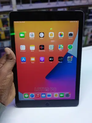 Apple iPad Wi-Fi +3G 64 GB Gray