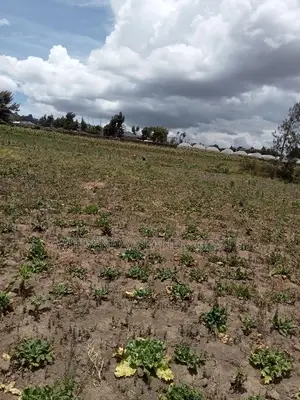 Plot on Sale at Ihindu Market Naivasha