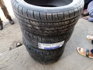 245/45r17 Goddard