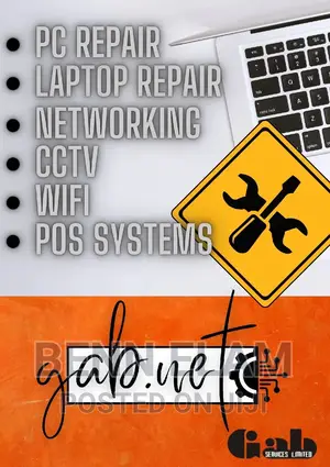 Professional IT Services