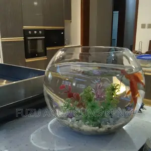 Clear Glass Fish Bowls