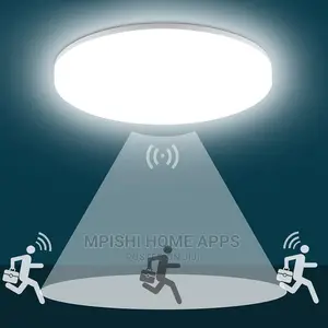 LED Ceiling Light With Motion Sensor
