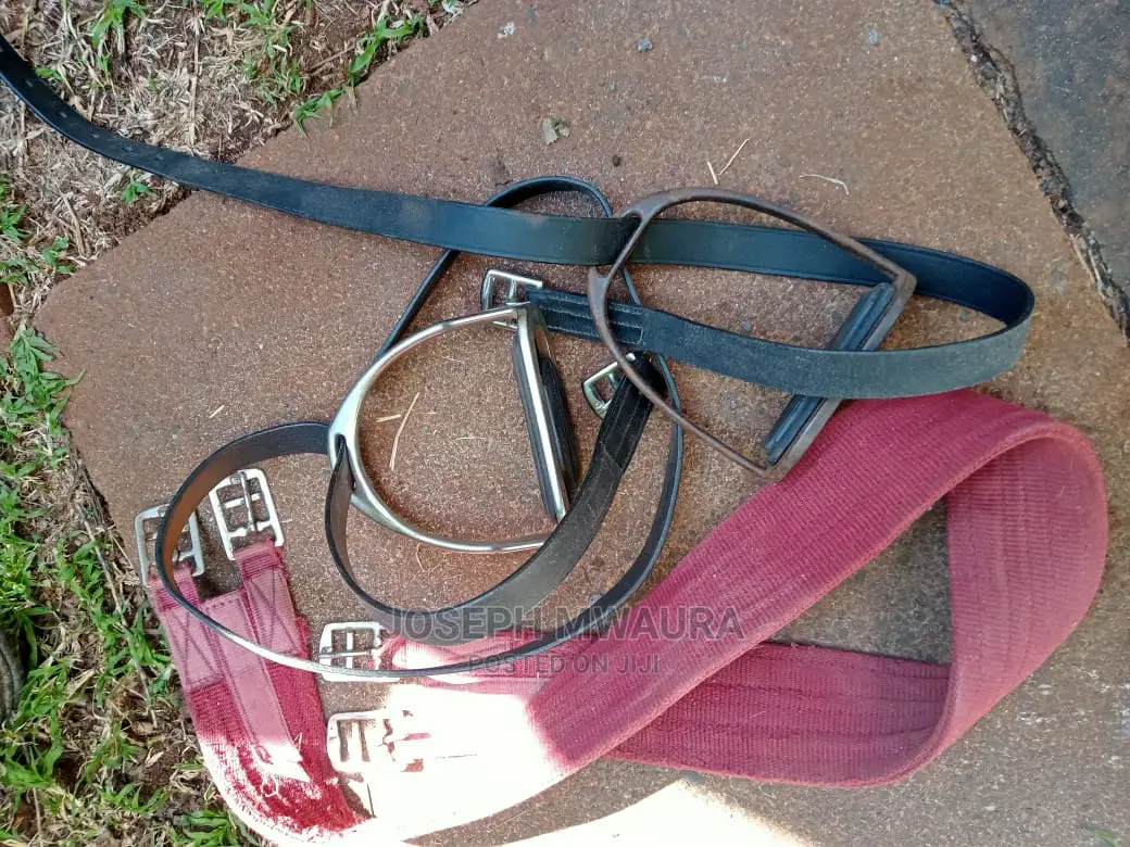Horses Riding Equipment