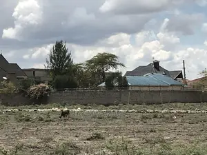 50 By100 Plot Syokimau ,