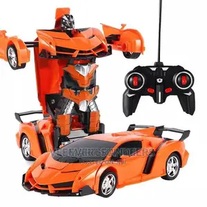 Remote Control Transformation Cat