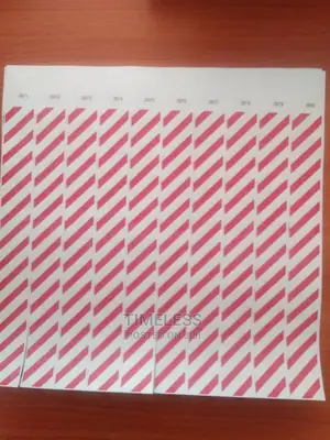 Party/Hotel / Fun Park / Event Wristbands