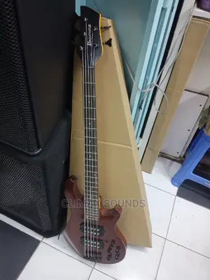 Active Bass Guitar 5 Stringz
