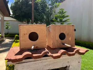 Bird Nest Boxes