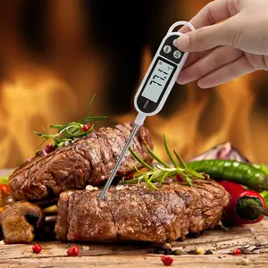 Food Thermometer