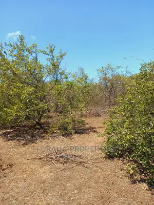 For Sale 100 Acres for Sale Kilifi.