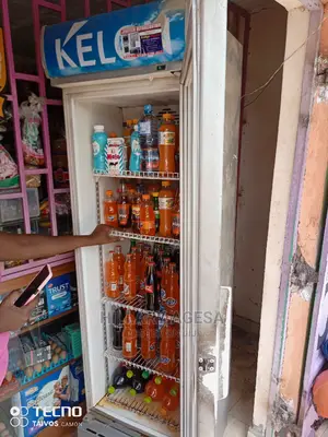 Fridge Repair