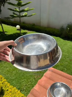 Dog Bowls Stainless Steel
