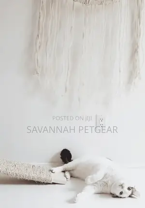 Purrfect Cat Scratching Plank Board